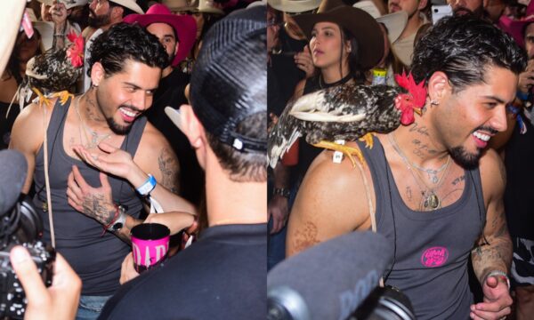 Zé Felipe canta com galo no ombro durante show em Barretos
